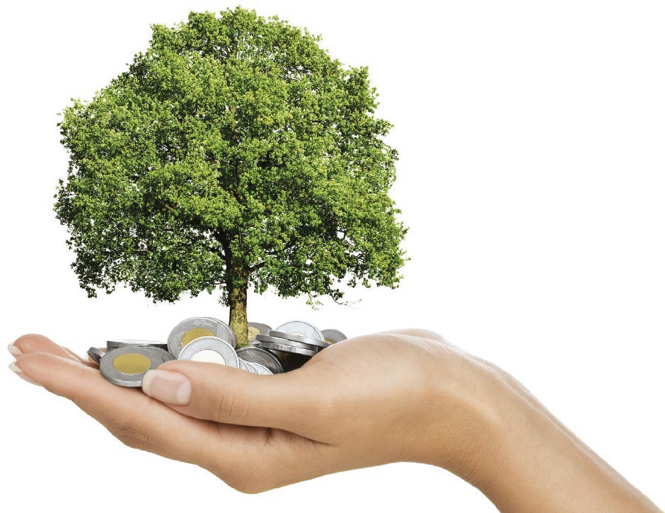 Featured image for “The Magic Power of Compound Interest”