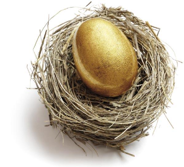 Featured image for “Options for Preserving Your Retirement Savings”