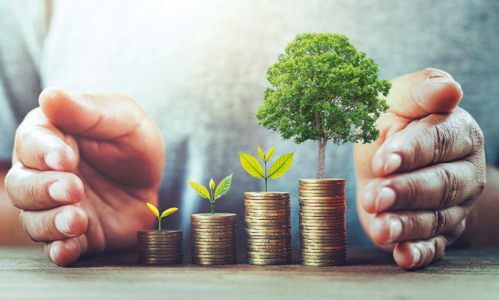 Featured image for “Portfolio Performance 2023 Q4”