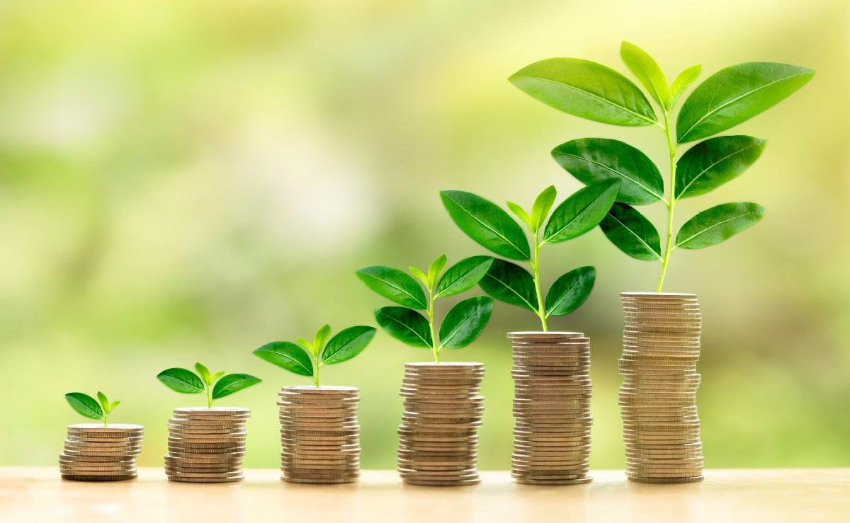 Featured image for “Pay back your two-pot withdrawals”