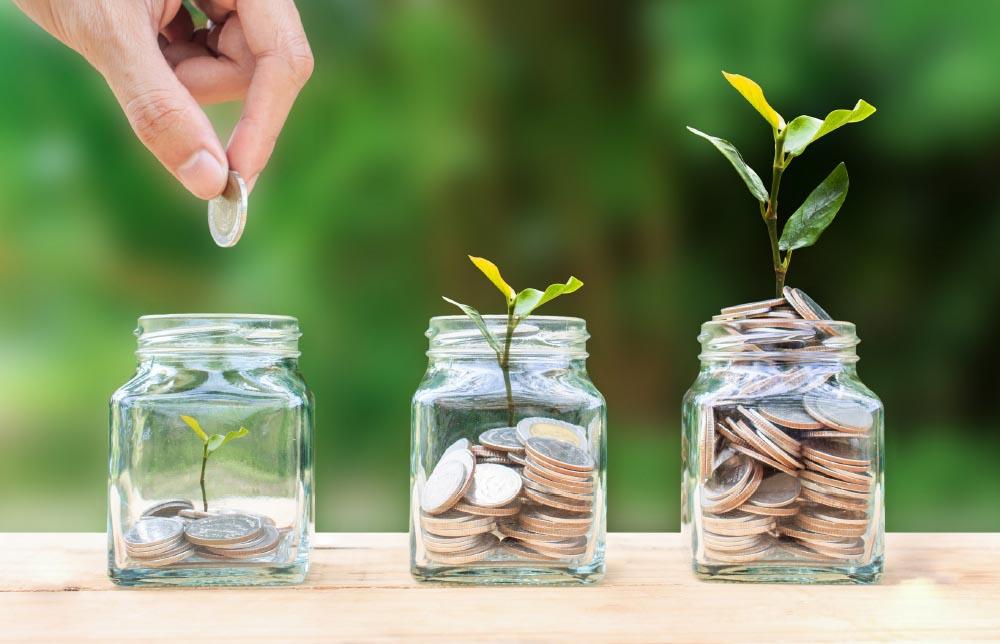 Featured image for “Your Fund’s portfolio performance”